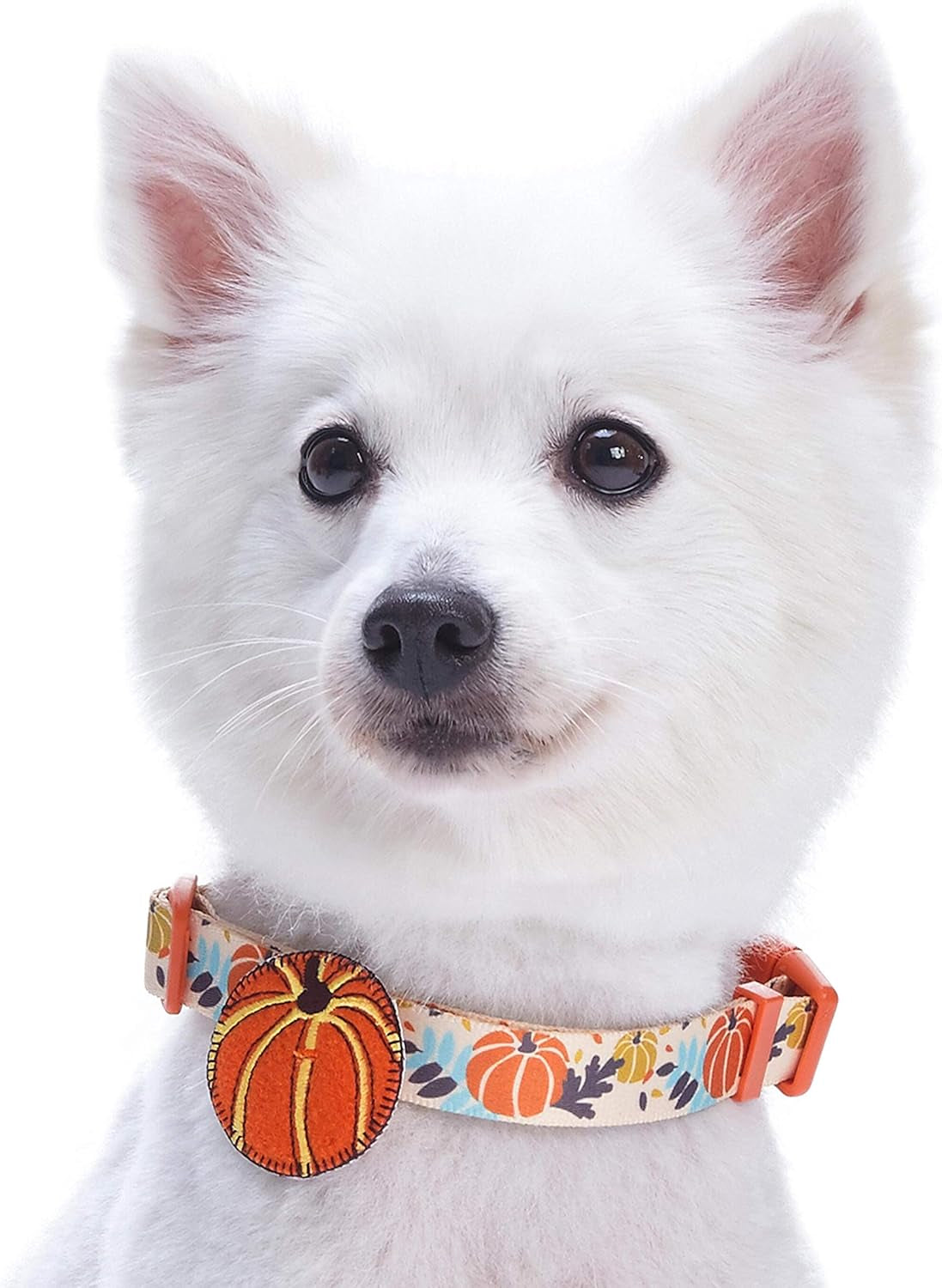Adjustable Thanksgiving Dog Collar - Festive Pumpkin Design for Small to Medium Dogs, Perfect for Holiday Photos and Celebrations!