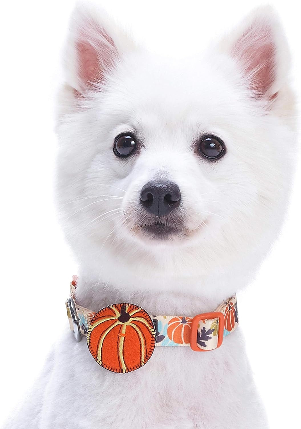 Adjustable Thanksgiving Dog Collar - Festive Pumpkin Design for Small to Medium Dogs, Perfect for Holiday Photos and Celebrations!